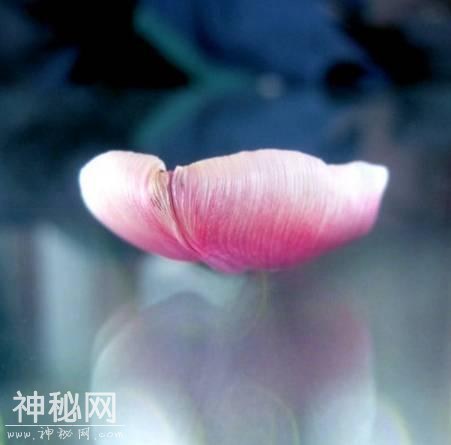 人，为什么会痛苦？为什么会烦恼？-2.jpg
