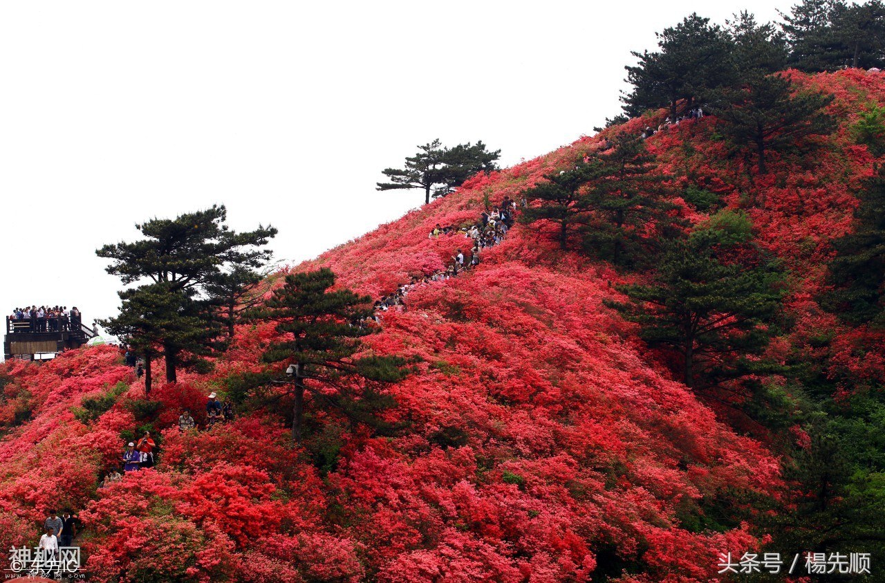 人文山水经典，贵州几个不可错过的旅游景点-8.jpg
