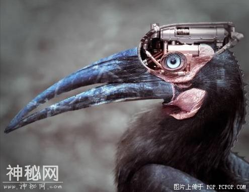 机械生物！-7.jpg