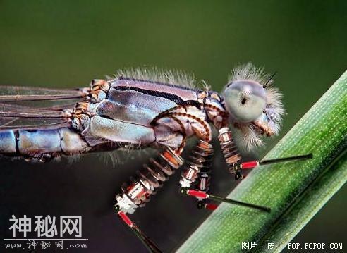 机械生物！-6.jpg