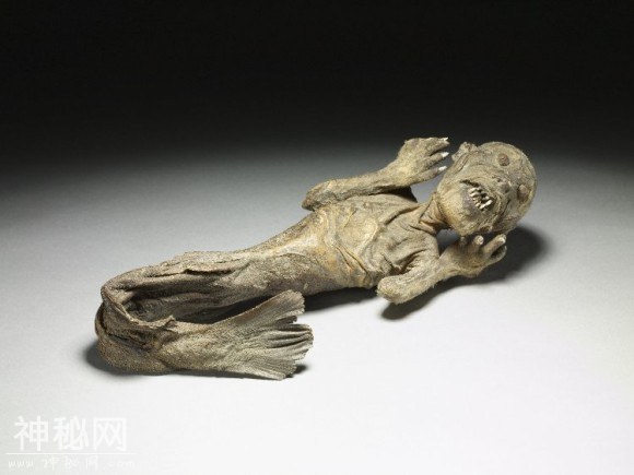8个神话生物真实出现到了现实世界，歌声惑人的斐济的美人鱼-7.jpg