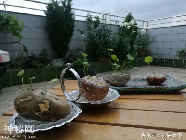 不要总是问“为什么”因为“我喜欢”-1.jpg