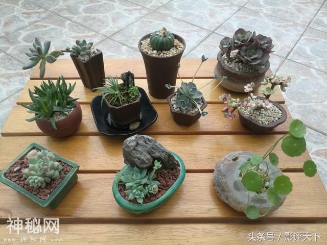 不要总是问“为什么”因为“我喜欢”-3.jpg