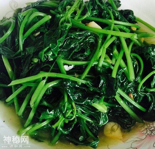 “土人参”，免费保健良药-5.jpg