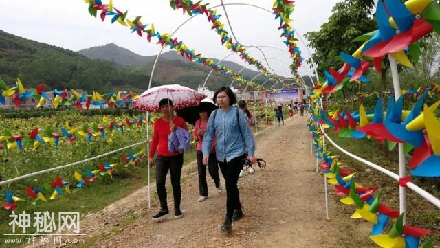梧州“三月三”｜民俗节庆氛围浓厚带动乡村旅游火爆~-8.jpg