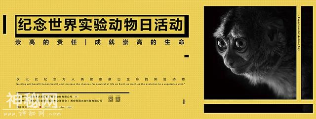 世界实验动物日——国联质检纪念为人类健康献出生命的动物-1.jpg