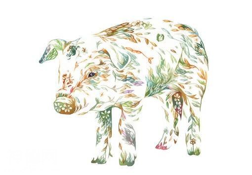 碎花纹理水彩动物插图：日本插画师武多弘树-2.jpg