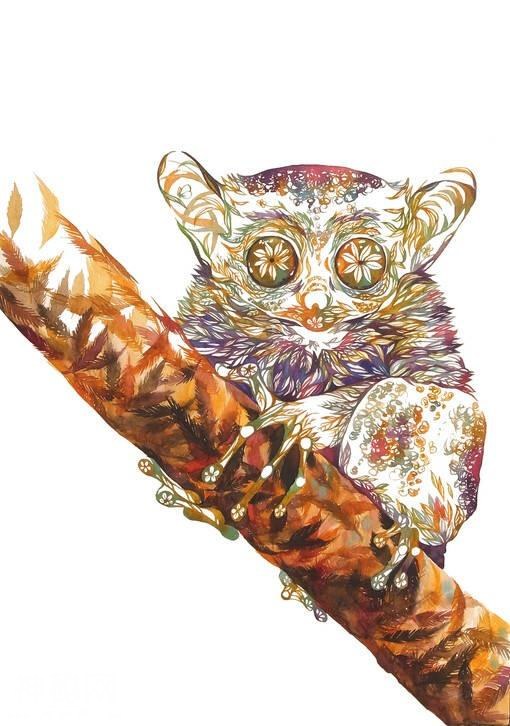 碎花纹理水彩动物插图：日本插画师武多弘树-5.jpg