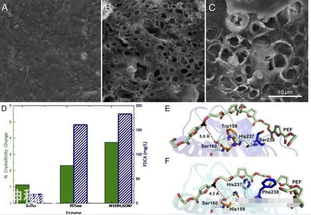 困恼人类的塑料问题终于解决，科学家发现吃塑料的细菌-7.jpg