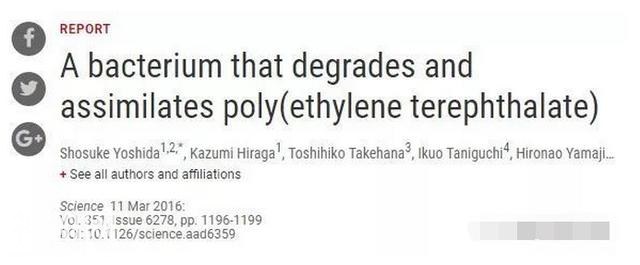 困恼人类的塑料问题终于解决，科学家发现吃塑料的细菌-2.jpg
