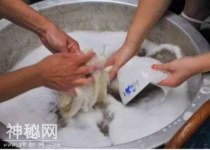 很多家庭主妇都洗错碗了，这样洗碗细菌全都吃到肚子里去了-1.jpg