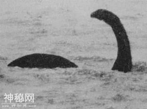 真的有水怪？末尾视频为证-2.jpg