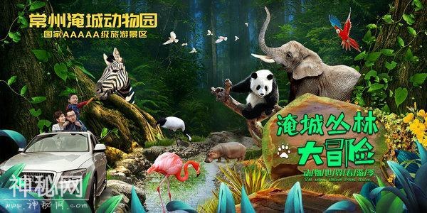 常州淹城动物淘气节，五一“抖”趣来狂欢-1.jpg