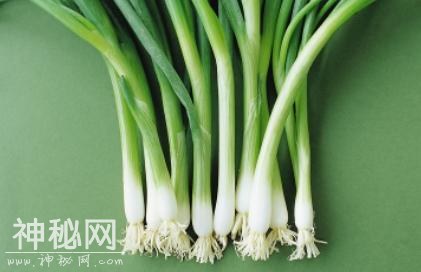 哪些食物易“潜伏”细菌？“潜伏”于食物中的细菌-1.jpg