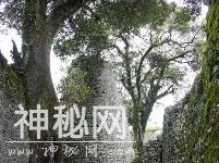 盗墓贼“意外”帮忙 没听过的伟大考古发现-7.jpg