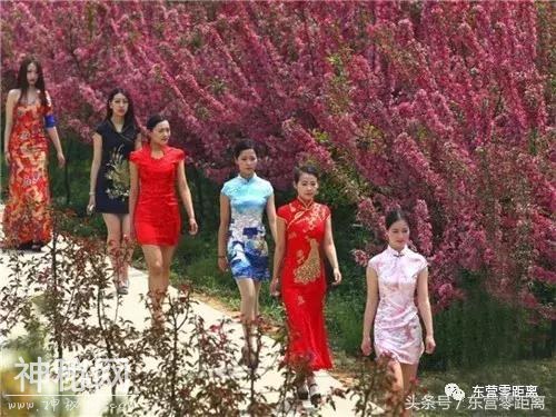 5.1假期，“景阳春”杯第十届青云山民俗旅游节隆重开幕-13.jpg