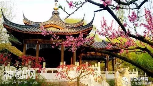 5.1假期，“景阳春”杯第十届青云山民俗旅游节隆重开幕-4.jpg