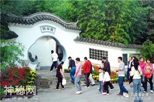 5.1假期，“景阳春”杯第十届青云山民俗旅游节隆重开幕-8.jpg