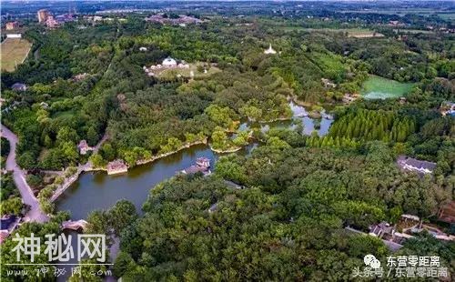 5.1假期，“景阳春”杯第十届青云山民俗旅游节隆重开幕-24.jpg