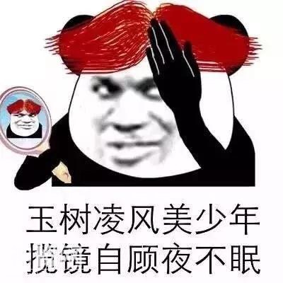 幽默笑话十则：我喜欢猫，猫是一种很神奇的动物-2.jpg