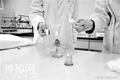 用细菌生产“蚕丝”简直跟真的一样-3.jpg