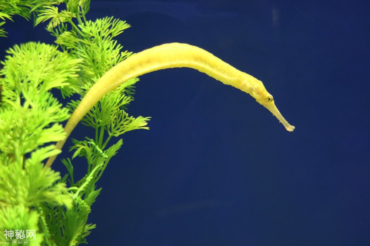 图虫摄影：生物-4.jpg