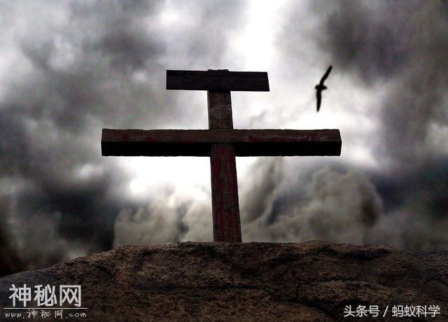 生物为什么会死亡？-1.jpg