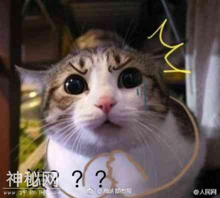 无数女人正被瑜伽毁掉身体？海都记者就此采访专家……-3.jpg