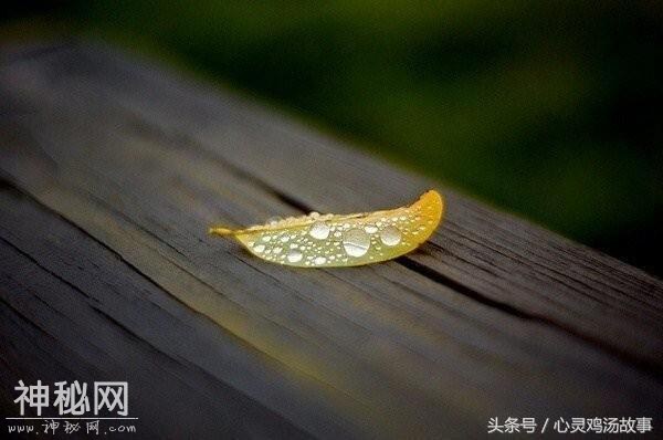 无助时，才发现自己最靠谱；缺钱时，才明白家人是支柱-2.jpg