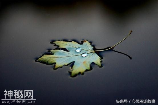 无助时，才发现自己最靠谱；缺钱时，才明白家人是支柱-4.jpg