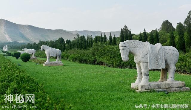 蒲城人文小解读-1.jpg