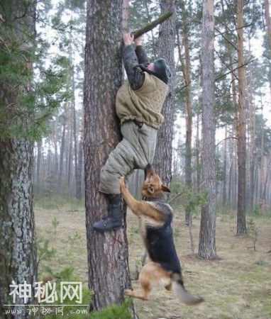 实拍：人类闯入动物的世界，动物的表现让他们尴尬不已-6.jpg