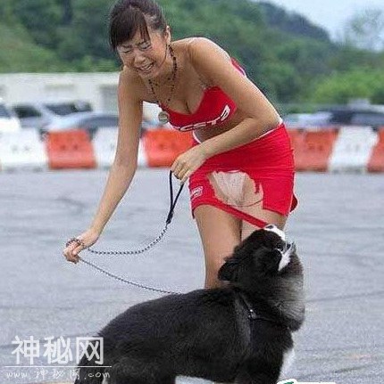 实拍：人类闯入动物的世界，动物的表现让他们尴尬不已-4.jpg