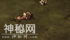 《饥荒》生物睡姿一览 生物睡姿图文介绍-18.jpg