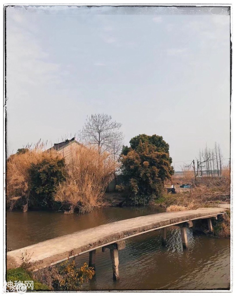 为什么农村老人大多不喜欢搬迁，因为农村有城市没有的乡土味道！-1.jpg