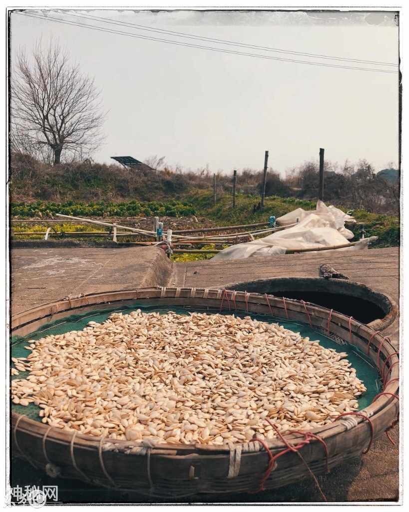 为什么农村老人大多不喜欢搬迁，因为农村有城市没有的乡土味道！-4.jpg