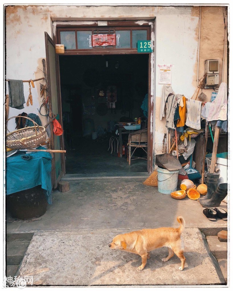 为什么农村老人大多不喜欢搬迁，因为农村有城市没有的乡土味道！-8.jpg