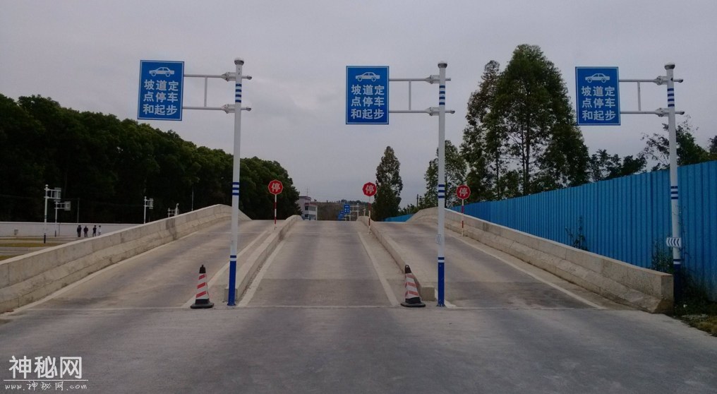 松哥爱回答：驾照考试为什么让人害怕？两分钟解答原因-1.jpg
