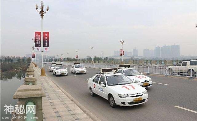 松哥爱回答：驾照考试为什么让人害怕？两分钟解答原因-8.jpg