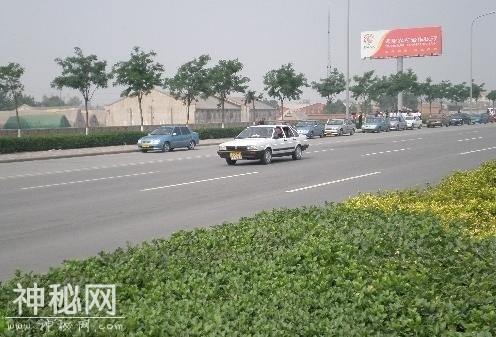 松哥爱回答：驾照考试为什么让人害怕？两分钟解答原因-7.jpg