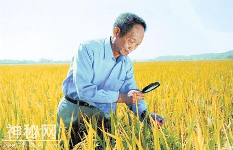 厉害了我的国！这些领域的科技我们都已经世界第一-14.jpg