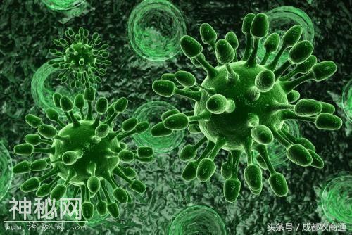 植物病毒能感染人吗？种子脱毒又是怎么一回事？-1.jpg