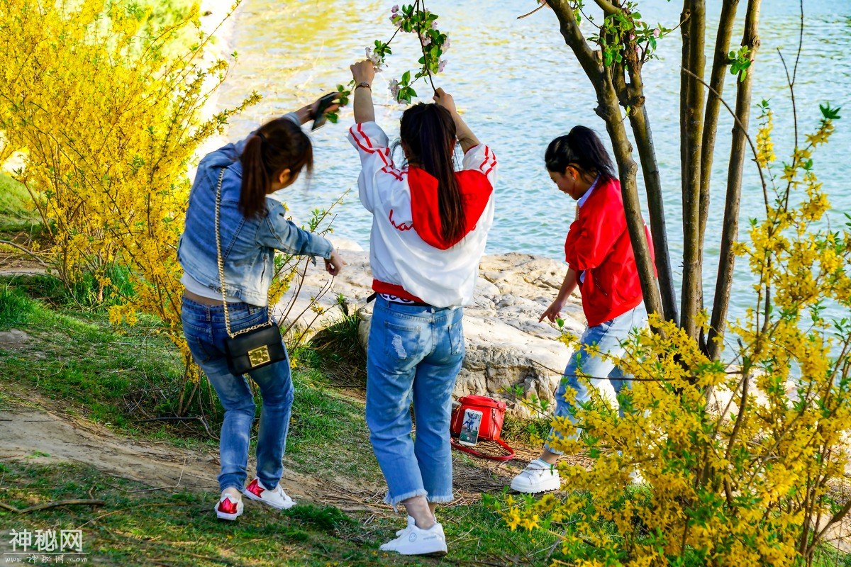 图虫人文摄影：陶然亭公园（人文）2018-4-10-4.jpg