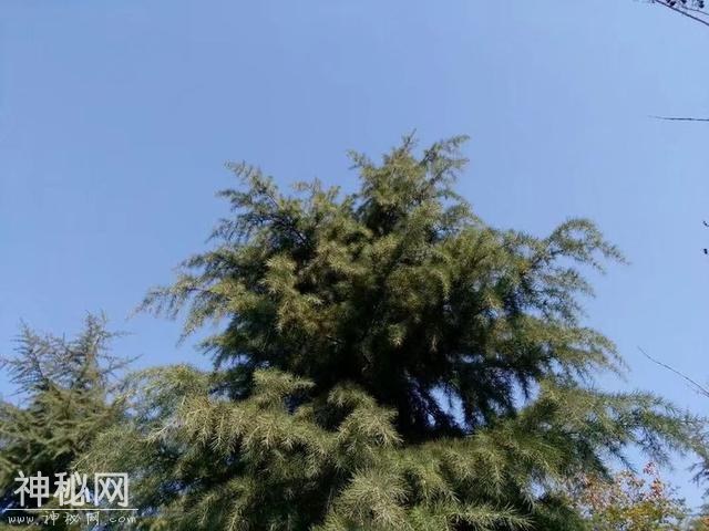 12岁女孩在山里待了两个月，回到家里发现继母变成了老婆婆-3.jpg