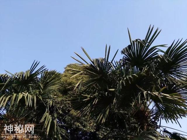 12岁女孩在山里待了两个月，回到家里发现继母变成了老婆婆-1.jpg