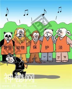 天津侦破特大非法出售濒危野生动物案-1.jpg