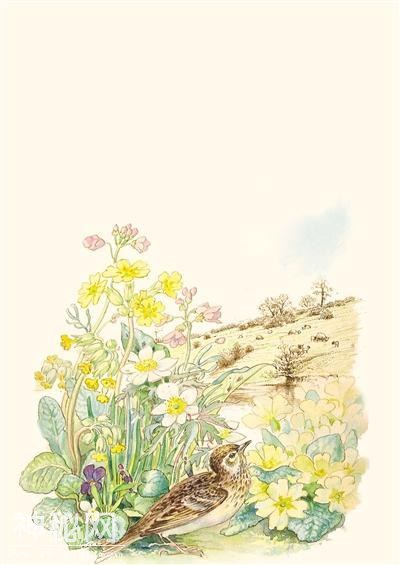 在城市里做一个“野人”-1.jpg