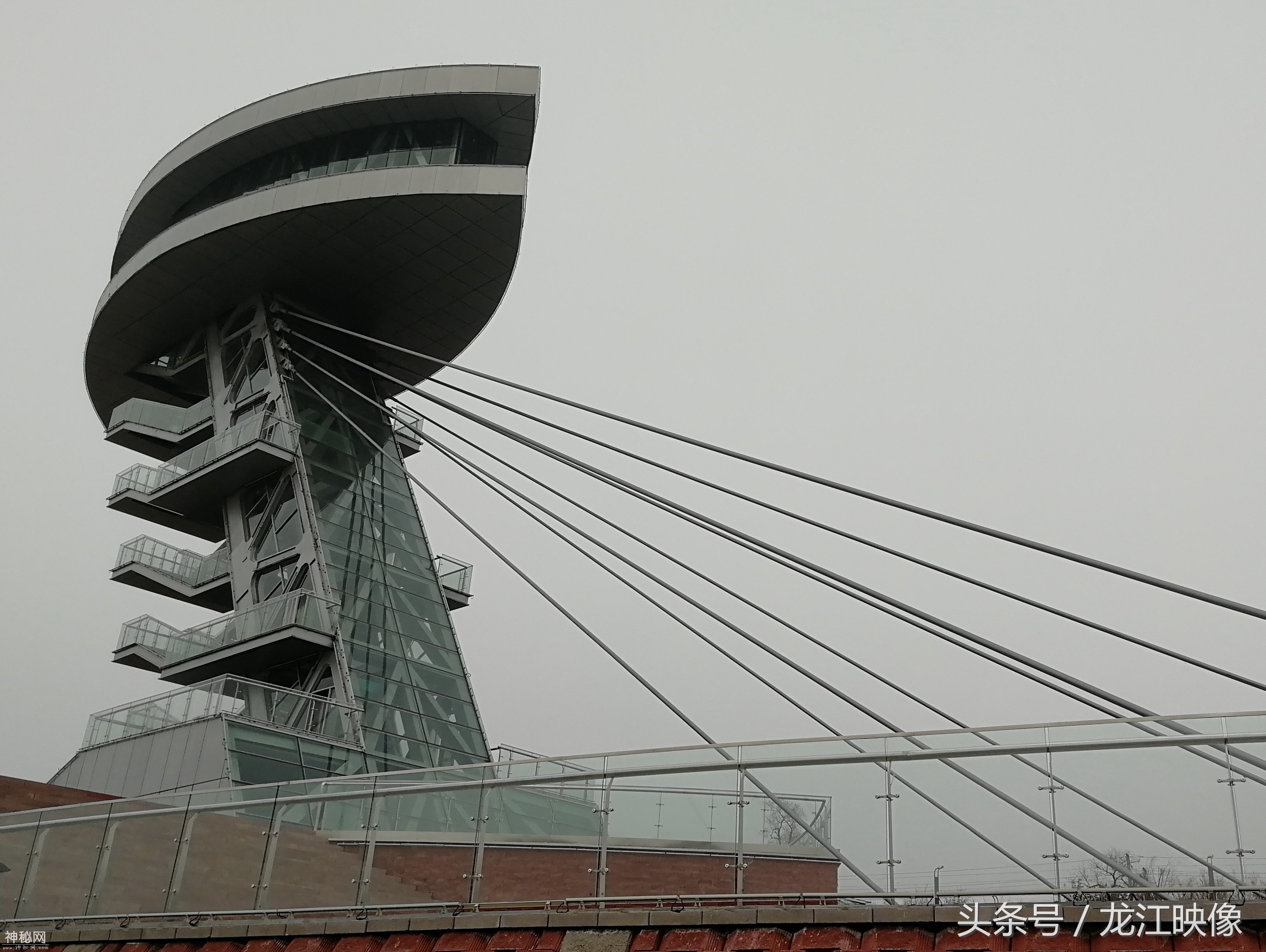 造型科幻的江北湿地观景平台，别成了摆设，市民盼其早日投用-6.jpg