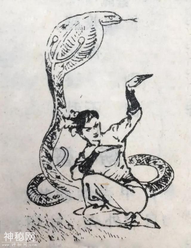 看图识拳法：自古就有的“动物拳”-2.jpg