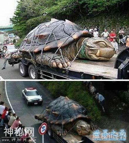 这些动物放在中国，只够吃一顿的-5.jpg